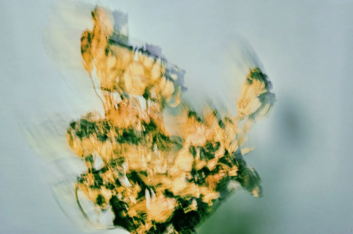 Errores de fotógrafos, fotografía con movimiento