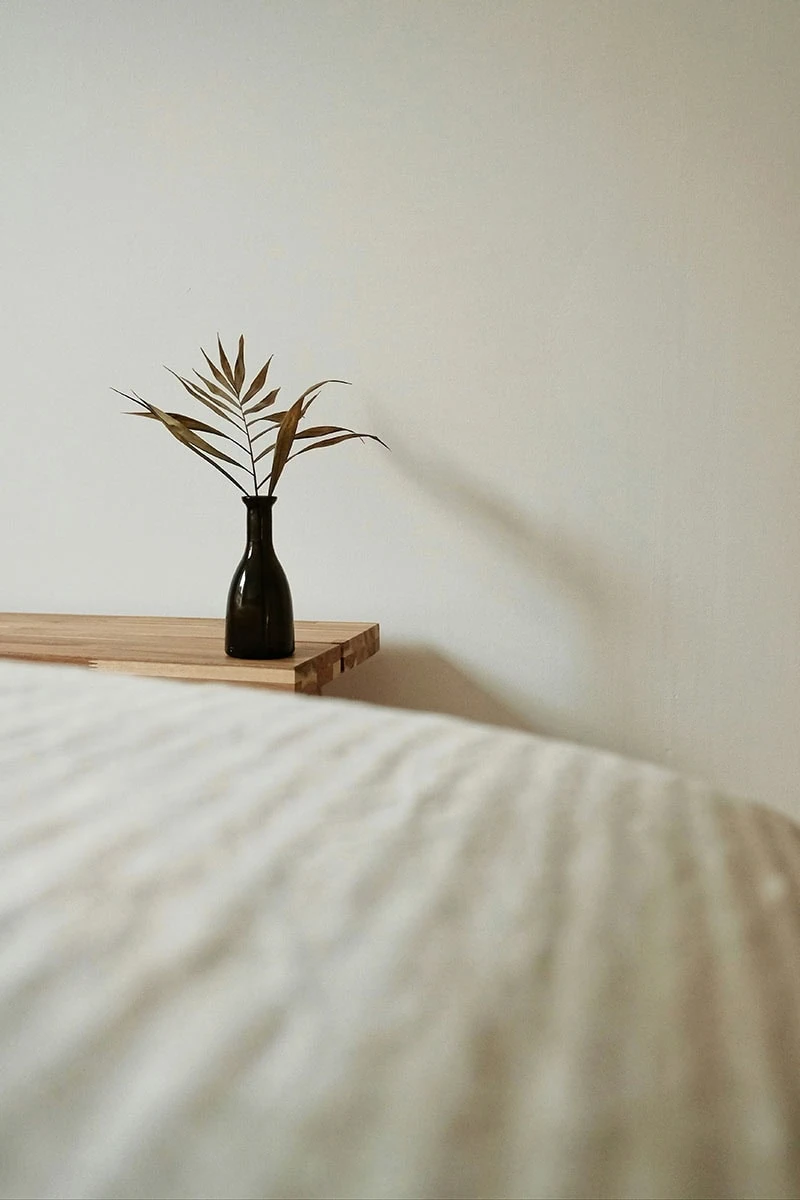 ejemplo de fotografía minimalista con enfoque en composición limpia