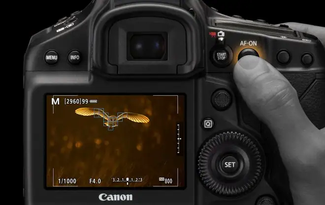 Vista trasera de una cámara Canon con el botón AF-ON activado para usar Back Button Focus