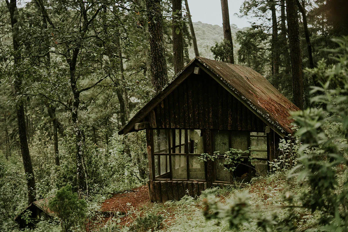 fotografía estilo vintage de casas en el bosque