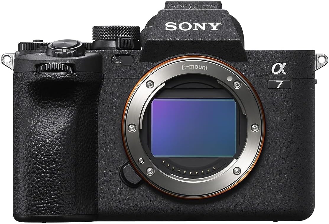 tipos de bayonetas para cámaras, Sony E