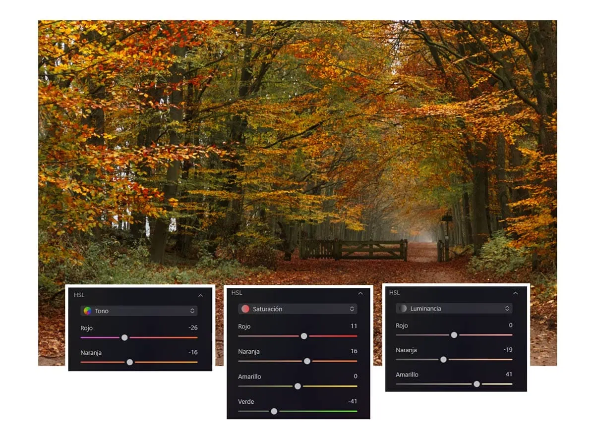 edición otoño Luminar Neo